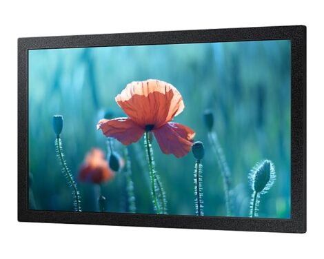 13 QBR Full HD Small Display price in Kenya