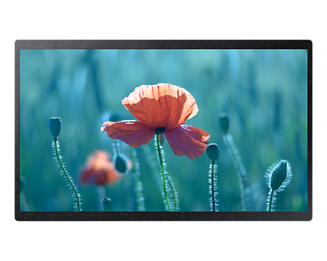 Samsung 24" QBR-B Full HD Small Display Kenya